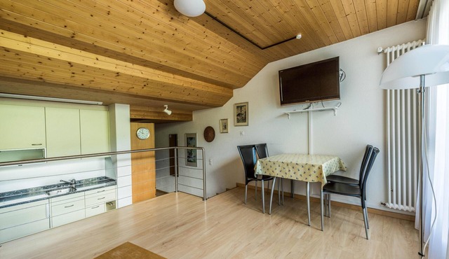 1 room apartment for 1 - 3 people with a view of the ski slope