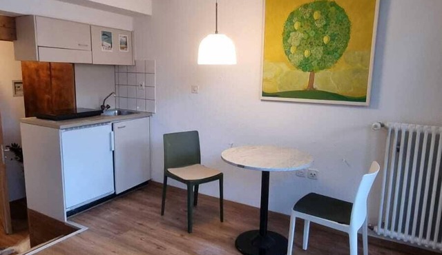 1 room apartment for 2 people with a view of the ski slope