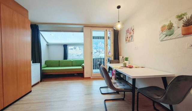 1 room apartment for 3 people with a view of the village