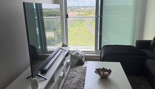 1 Room With Private Washroom in a shared 2Br 2 Bathroom cozy condo