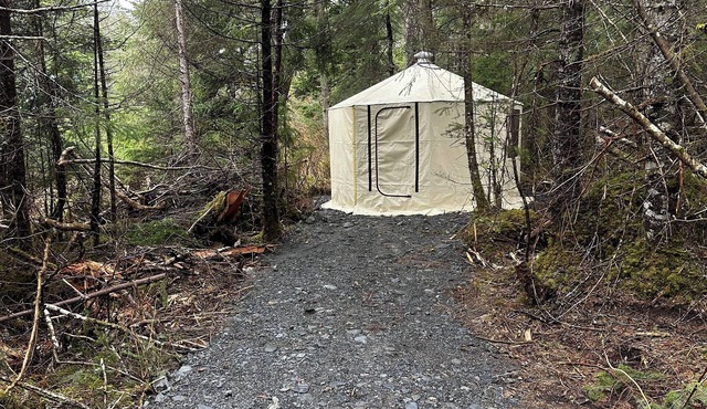 1-room yurt in Seward