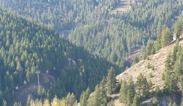 1 Story Baldy Views Elevator 5 Blks 2 Town Near River Run Lifts & Bike Path