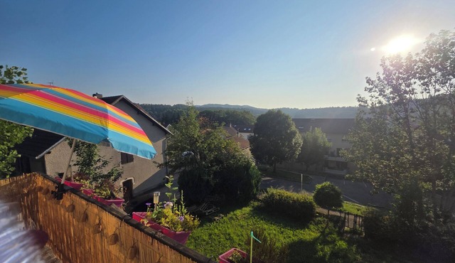 1 to 4 pers. apartment, 2 steps from the town, quiet area on the edge of the forest