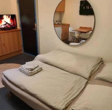 1-værelseslejlighed i centrum