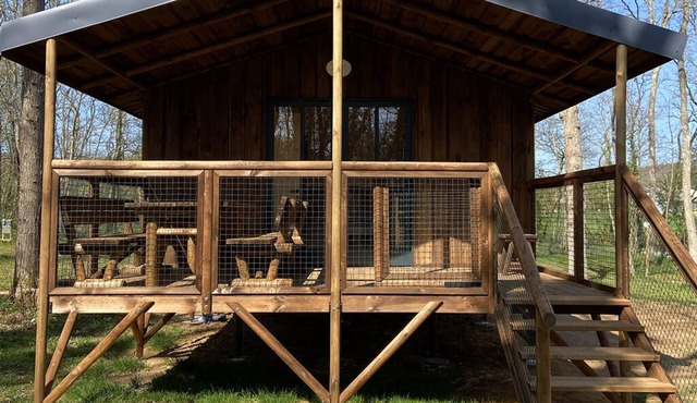 1 wooden cabins in the Chanteloup forest