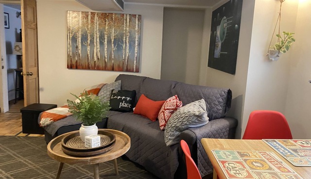 10-15 MIN FROM O'HARE CHICAGO-LOVELY 3BEDROOMS GARDEN APARTMENT