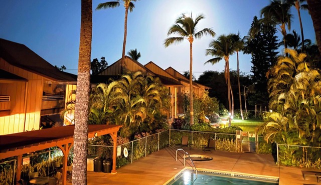 10% 7 Day Discount! Kihei 1Br Top Floor - Split AC, Clean, Free WiFi, Turtles!