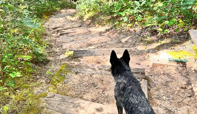 10-Acre Adventure Lodge w/River Valley View on 10 Acres - Cozy/Romantic/Family