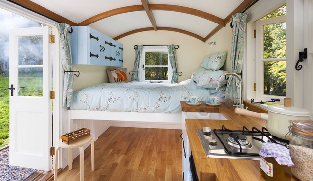 10 acres of woodland