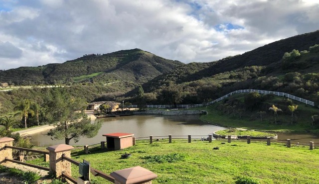 10 Acres Ranch w/ Horses, Pond, and more!