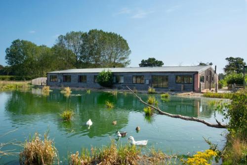 10 Bed in Briston oc-mjbrdb