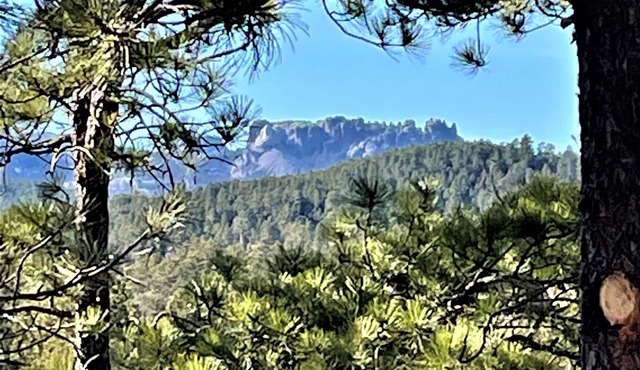 10 min to Mount Rushmore, Black Hills.