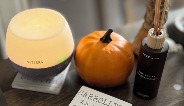 10 min Walk to Adamson Square, 3 bedrooms, 2 baths equipped House in Carrollton!