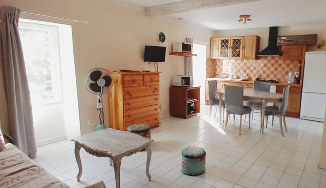 10 minutes walk from the waterfall, bright apartment, pets welcome!