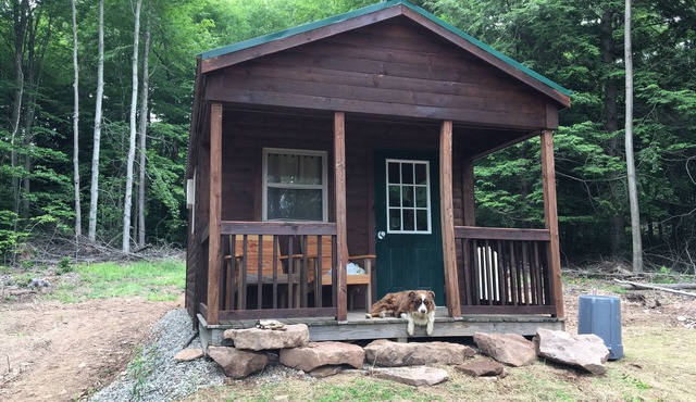 10 minutes to Cherry Springs Star gazing and Dark Skies