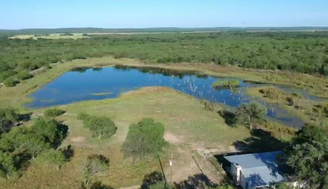 10+ near Hondo in D’Hanis TX.