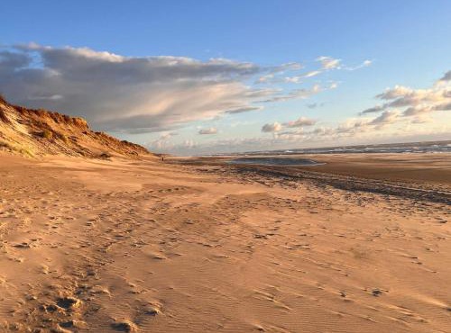 10 person holiday home in Ringkøbing