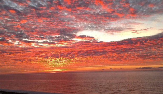 10% Weekly Discount! Portofino Beachfront Sunrise Views 2-Bedroom Tower 1