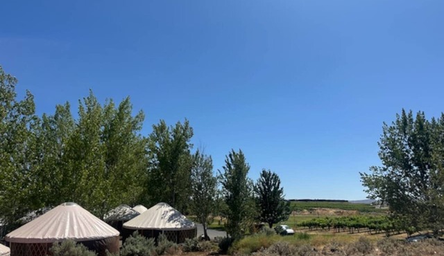 10 Yurts - #9 - Glamping by the Gorge & Cave B