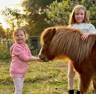 100 acres of mountain paradise all to yourself