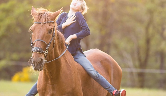 100 acres of Private Forest & Creek Waterfalls, 15-Miles of Trails
