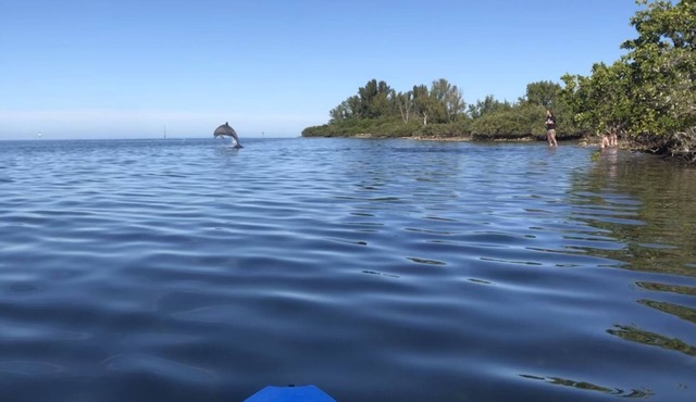 100% Back Up And Running! Waterfront!