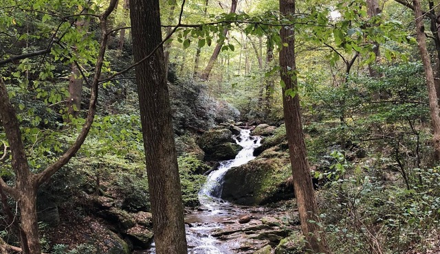 100+ Beds - 100 Friends - 32+ Acres bordering preserved Forest Park and Trails