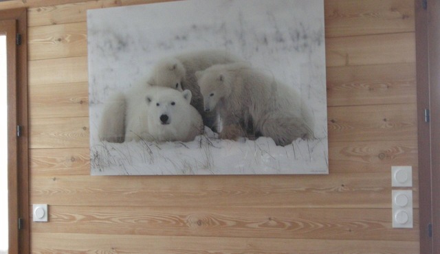 100 m2 col du Télégraphe 4* for 10 people in the center of Valloire