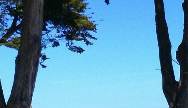 100 meters from the sea between Cotinière and Chassiron lighthouse.