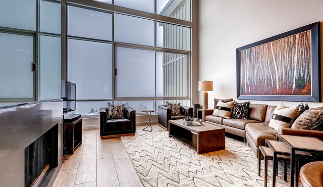 100 Percent Completely Renovated Gorgeous Snowbird Ski In/Ski Out Condominium