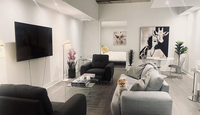 100% Walk Score! NEW Large, High Ceilings, Designer Luxury Open Style Live/Work!