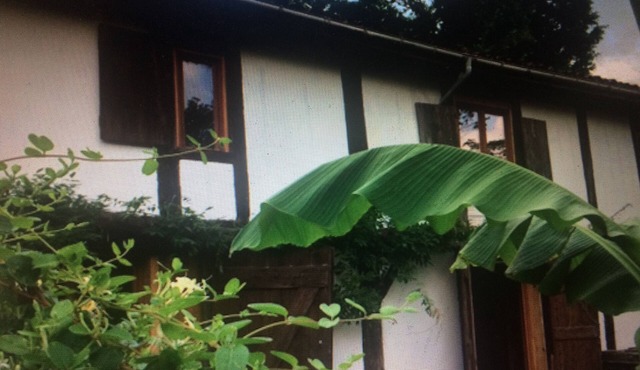 100 years old BARN revovated