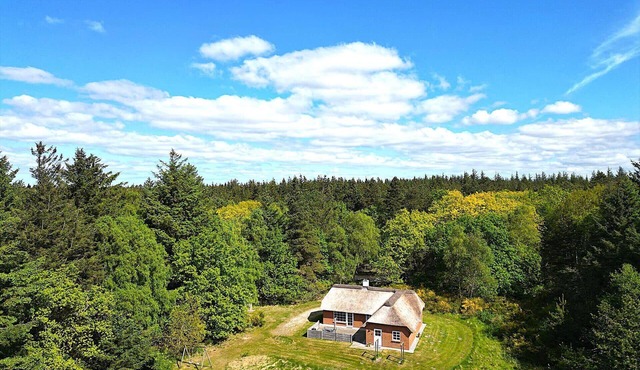 10077 Ulfborg - Græmvej 89