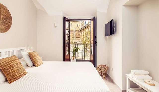 103 Roomy Plaza - Apartments Plaza Mayor 35