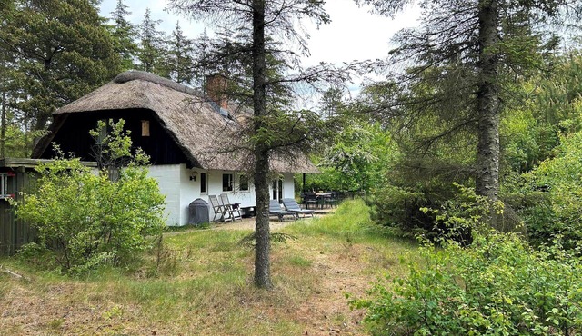 10385 Ulfborg - Kjærgaardvej 92