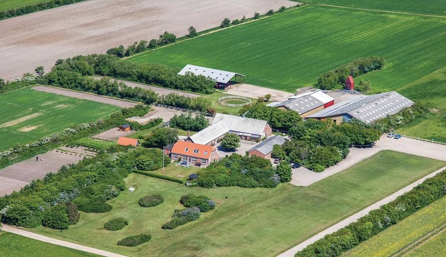 11 bedroom beautiful home in Ringkøbing