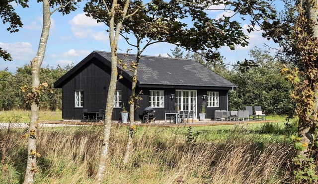 1136 Ringkøbing - Hovervej 61