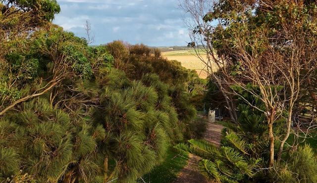 12 Apostles Cottages Farm Stay