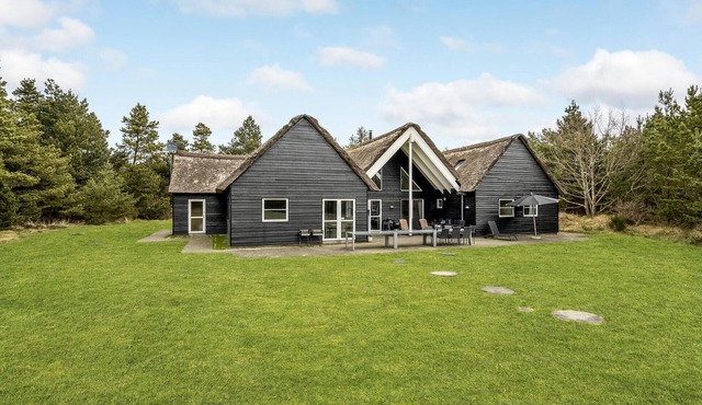 12 bedroom beautiful home in Blåvand
