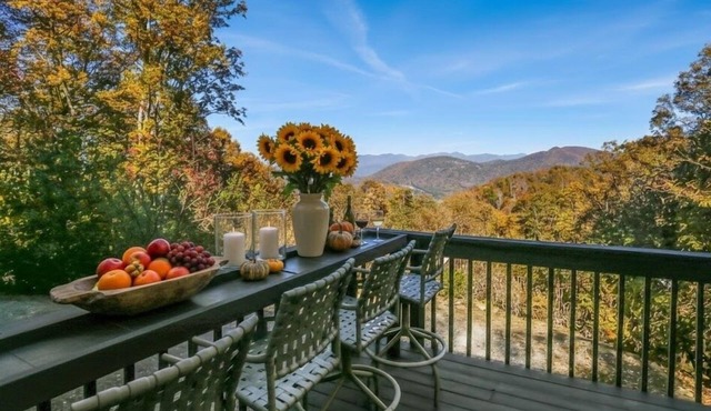 12 mins to DT Asheville & Biltmore, Fire pit, View
