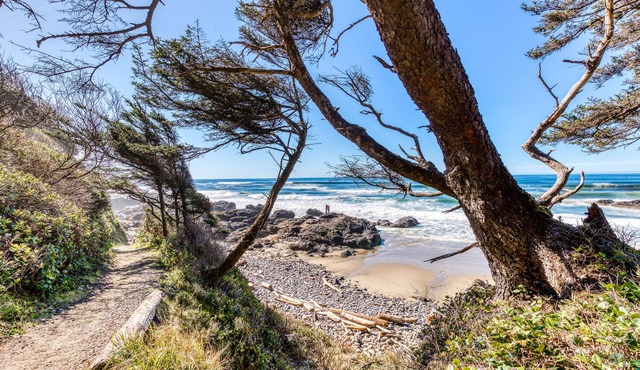 12 oceanfront, dog-friendly cottages w/easy beach access - room for large groups