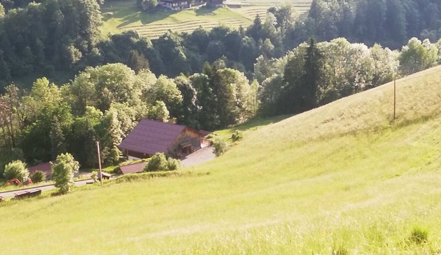 120 M² SINGLE-STOREY APARTMENT IN THE HEART OF NATURE