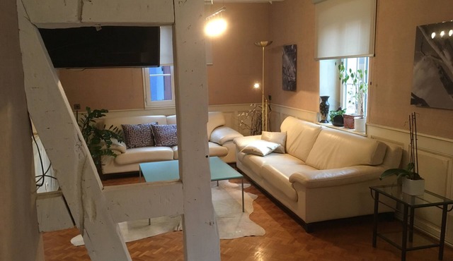 120m2 cozy duplex in farmhouse between Strasbourg and Haguenau