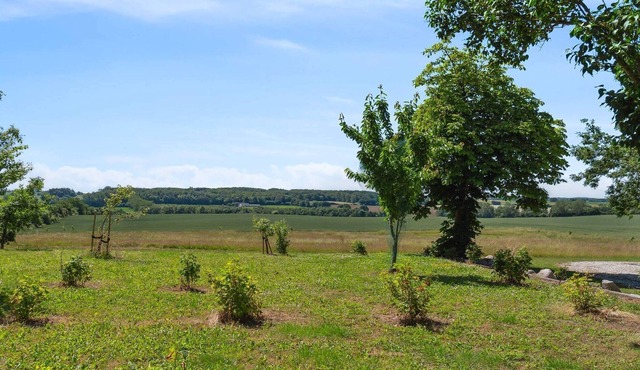 13 person holiday home in Præstø