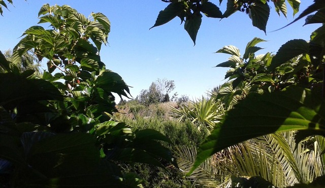 130 m² detached villa with private pool - 3 bedrooms (6 people)