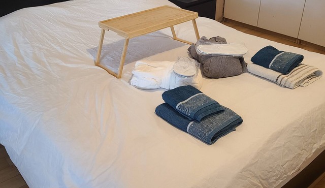 130 m2 loft with spa and billiards in the heart of BREST