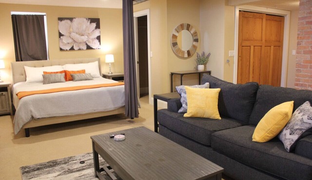 131 Cedar 5 · Luxury Studio with Full Kitchen in Downtown Kalamazoo