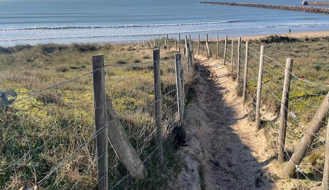 131. For an unforgettable holiday