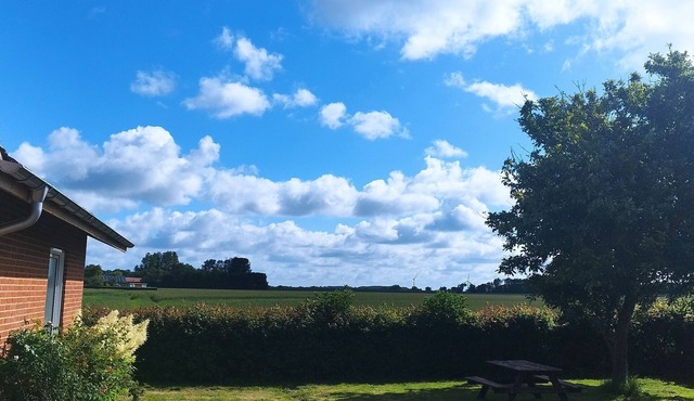 137 m2 large holiday house with room for 7 people in quiet surroundings