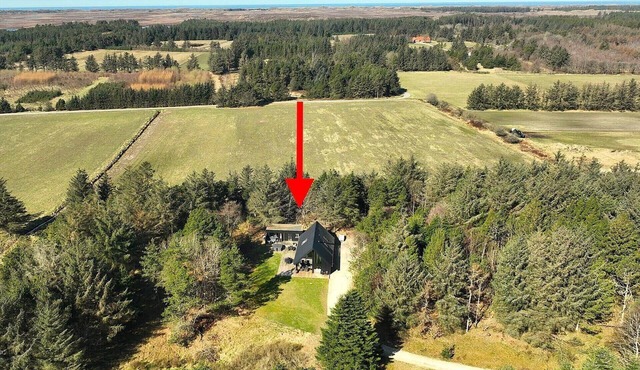 1385 Bedsted Thy - Nedergårdsvej 5
